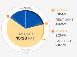 07-04
