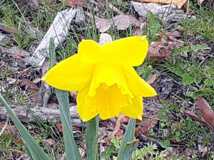 04-29