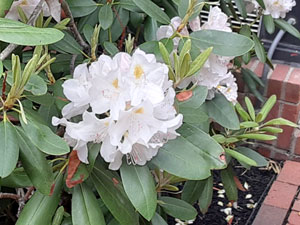 05-30