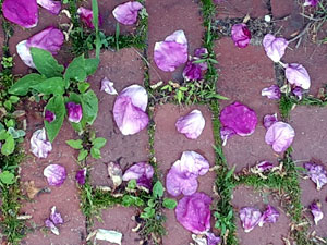 06-08