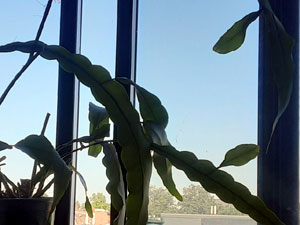 08-06