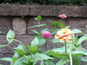 08-19